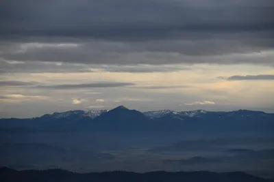 DSC_0106 (Large).JPG